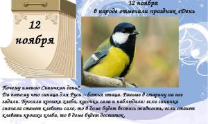 12 ноября - Синичкин день
