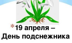 День Подснежника 🌱🌼 