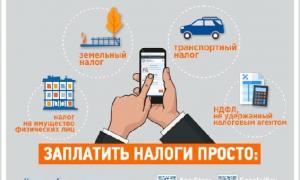 ИМУЩЕСТВЕННЫЕ НАЛОГИ