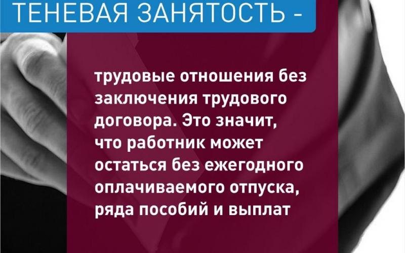 ТЕНЕВАЯ ЗАНЯТОСТЬ